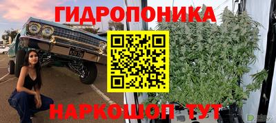 mix Кимры